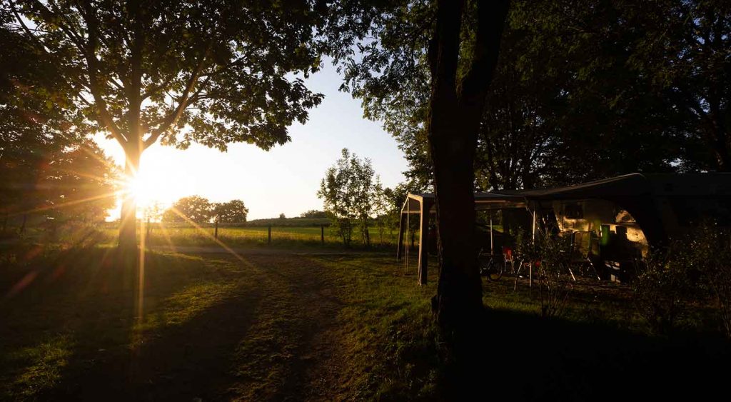 verdoyer 2021 109 1024x563