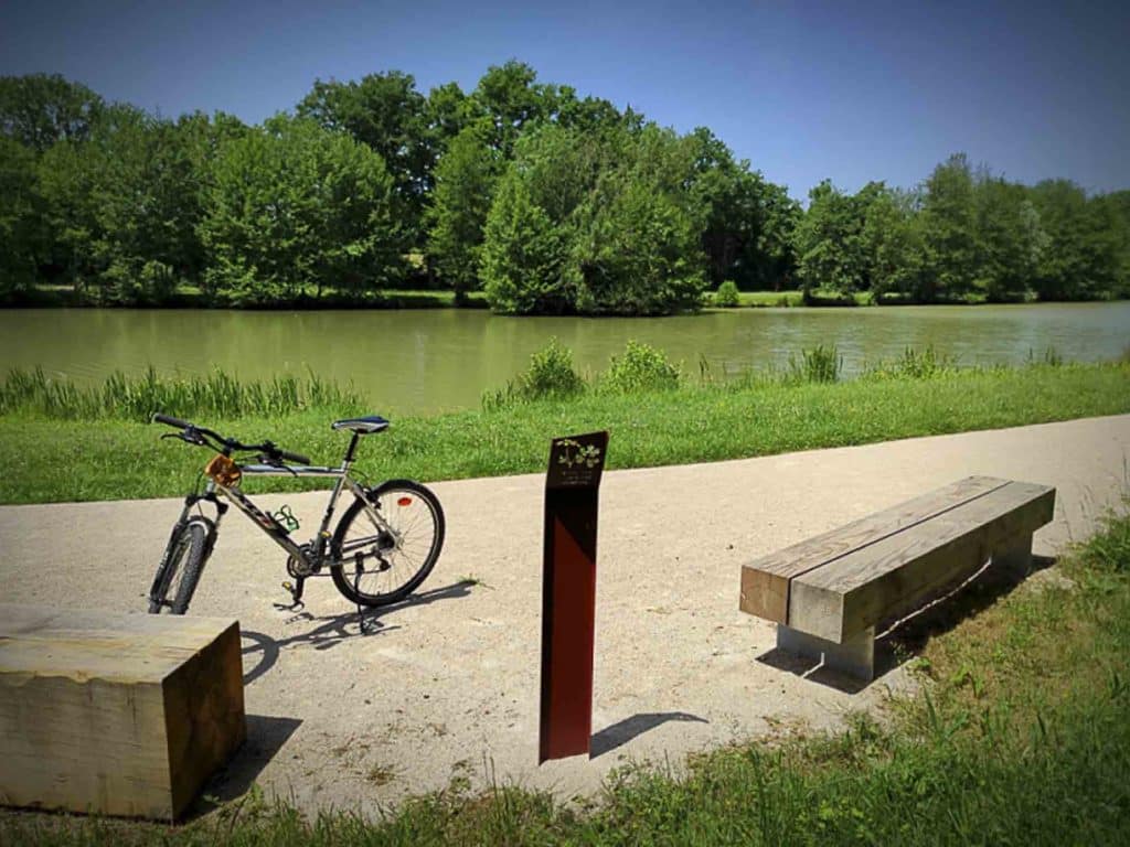 camping ain mepillat 2025 017 1024x768 1