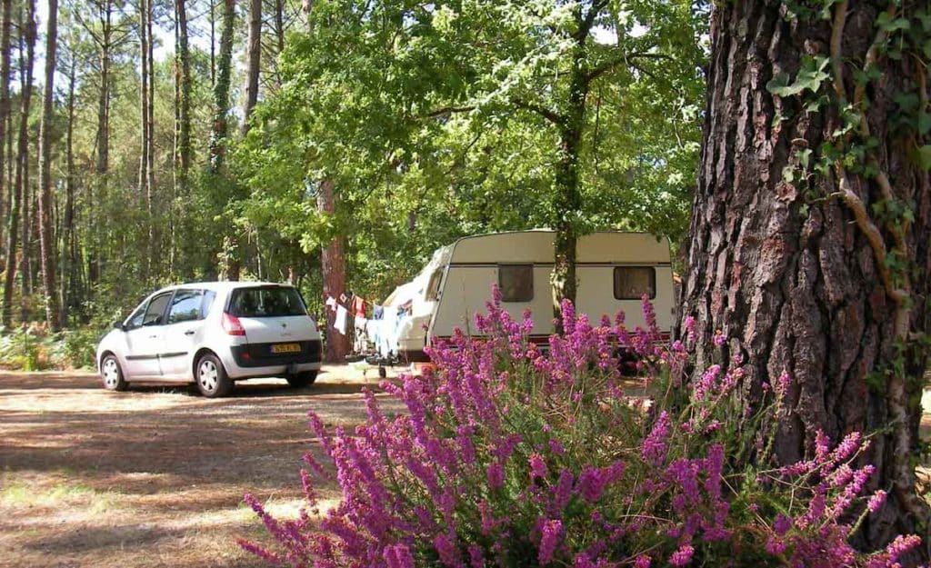 camping landes calede 2008 002 1024x625 1