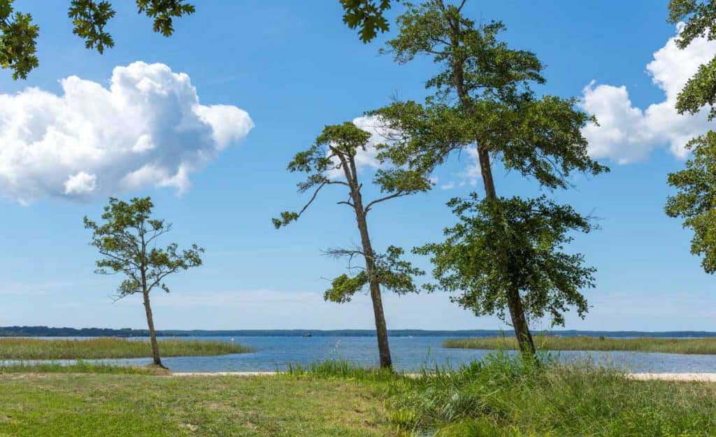 camping parentis landes 2020 003 1024x625 1