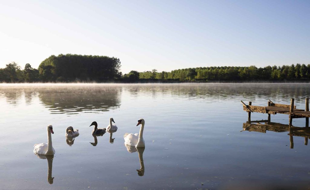 cle saone 2024 004 1024x630