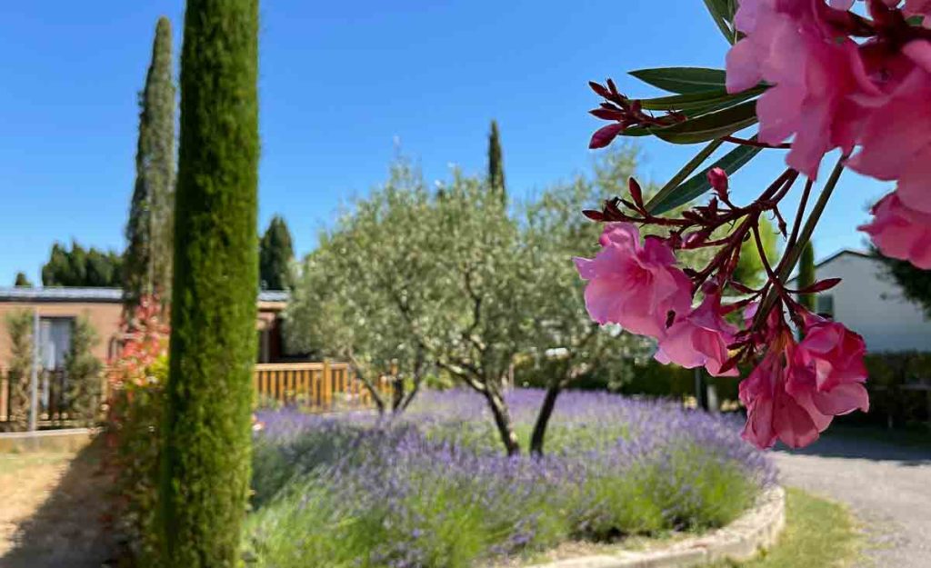 monplaisir camping provence 2022 002 1024x625 1