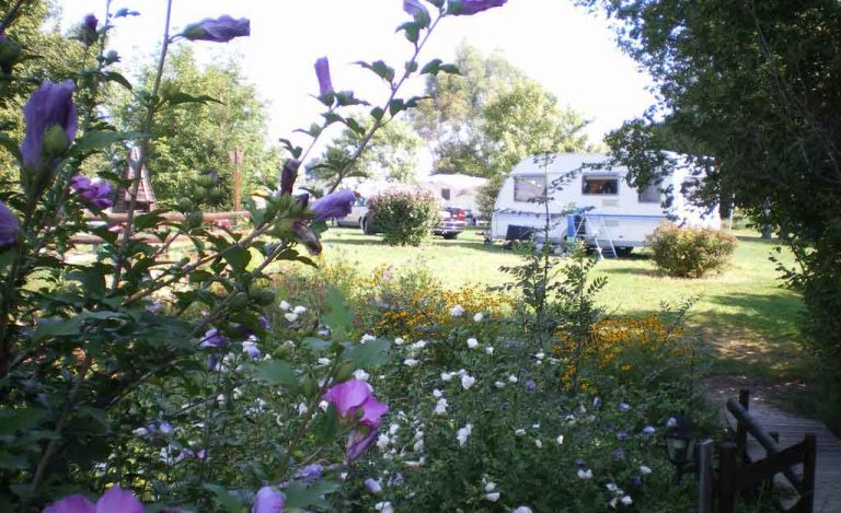 camping bourgogne saint boil5 768x469