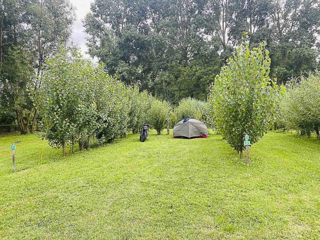 camping vendee marais 2023 007 1024x768 1