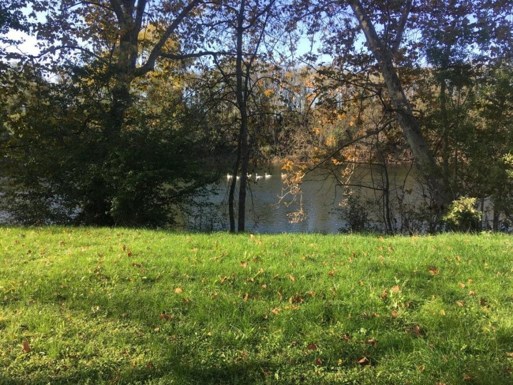 preview19 1024x768 1